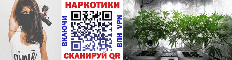 Купить наркотики цена Сорочинск Марихуана МЕФ ГАШ