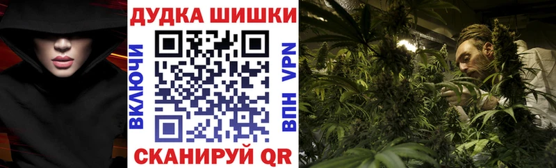 наркошоп  Сорочинск  Конопля планчик 